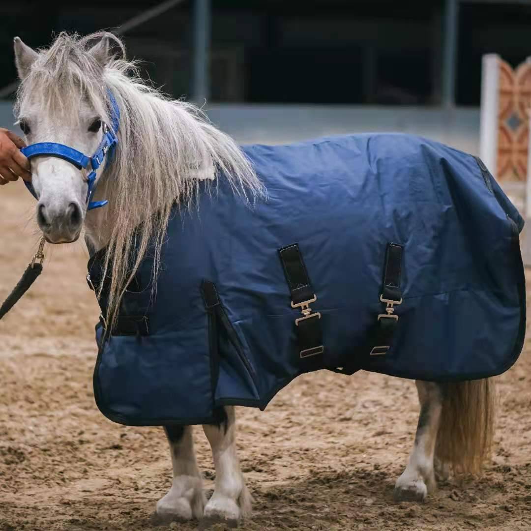 short horse - blue 85cm long back